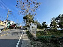 哈利！鹿谷中正路農地A (已申請露營區使用)