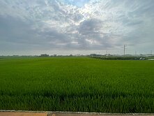 🚩彰化｜ 田中~漂亮地形方正~正雙臨路農角地~ 