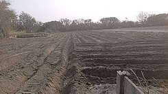 彰化大城土壤肥沃一般農業地