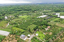 大內青年夢想6分美農地
