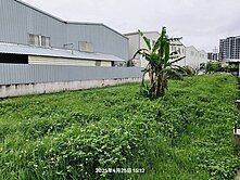 專任 新竹縣 湖口鄉30米路旁 (乙工) 店地