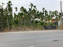 ✅屏東竹田鄉25米路旁漂亮增值農地