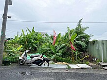 佳里奇美醫院美農地
