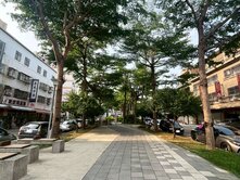新新加坡-大面寬黃金雙店面+雙平車