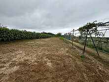 最優值829平坦美農地＋農舍資材室