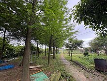 最優值829平坦美農地＋農舍資材室