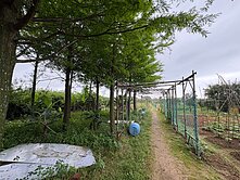 最優值829平坦美農地＋農舍資材室