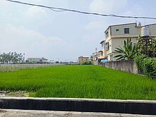 美濃中壇國小方正農地