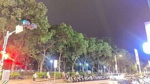 house cover