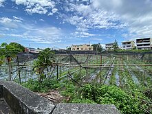 大面寬一般農業用地 地形完整平坦 