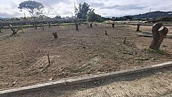 讚👍都內農地🌱地勢平坦🧩未來價值可期💹