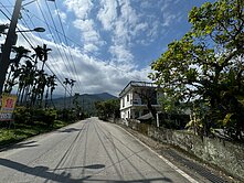 花蓮糖廠大地坪透天 農舍