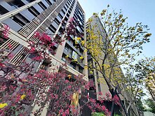 26.塭仔圳鴻承知青