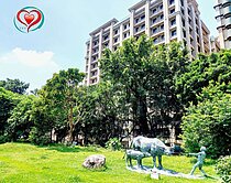 🌈獨家首都帝景蘭亭苑水岸第一排美屋🏠