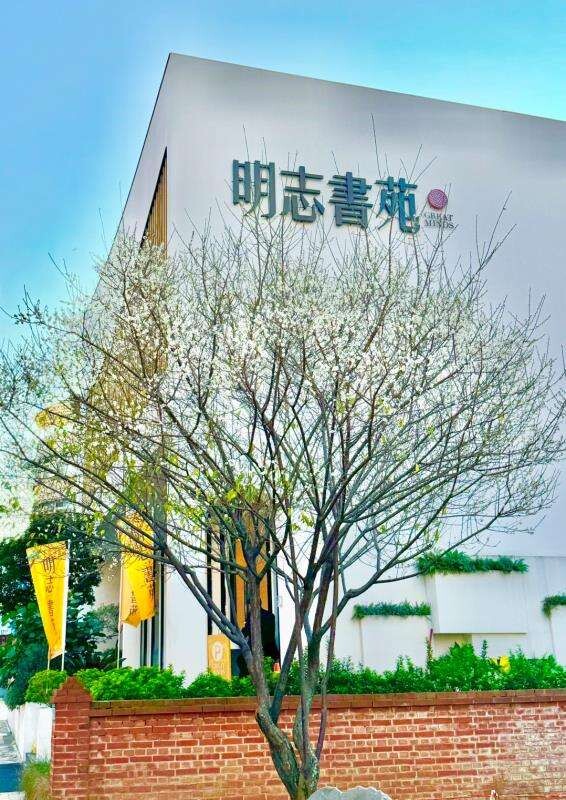 封面圖