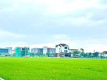 縣政之心足坪雙面路農地