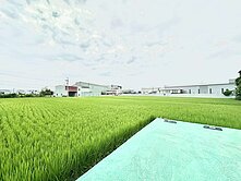 烏日│雙面臨路│收租置產首選角地農地