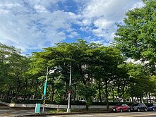 南屯五期花園黃金店住