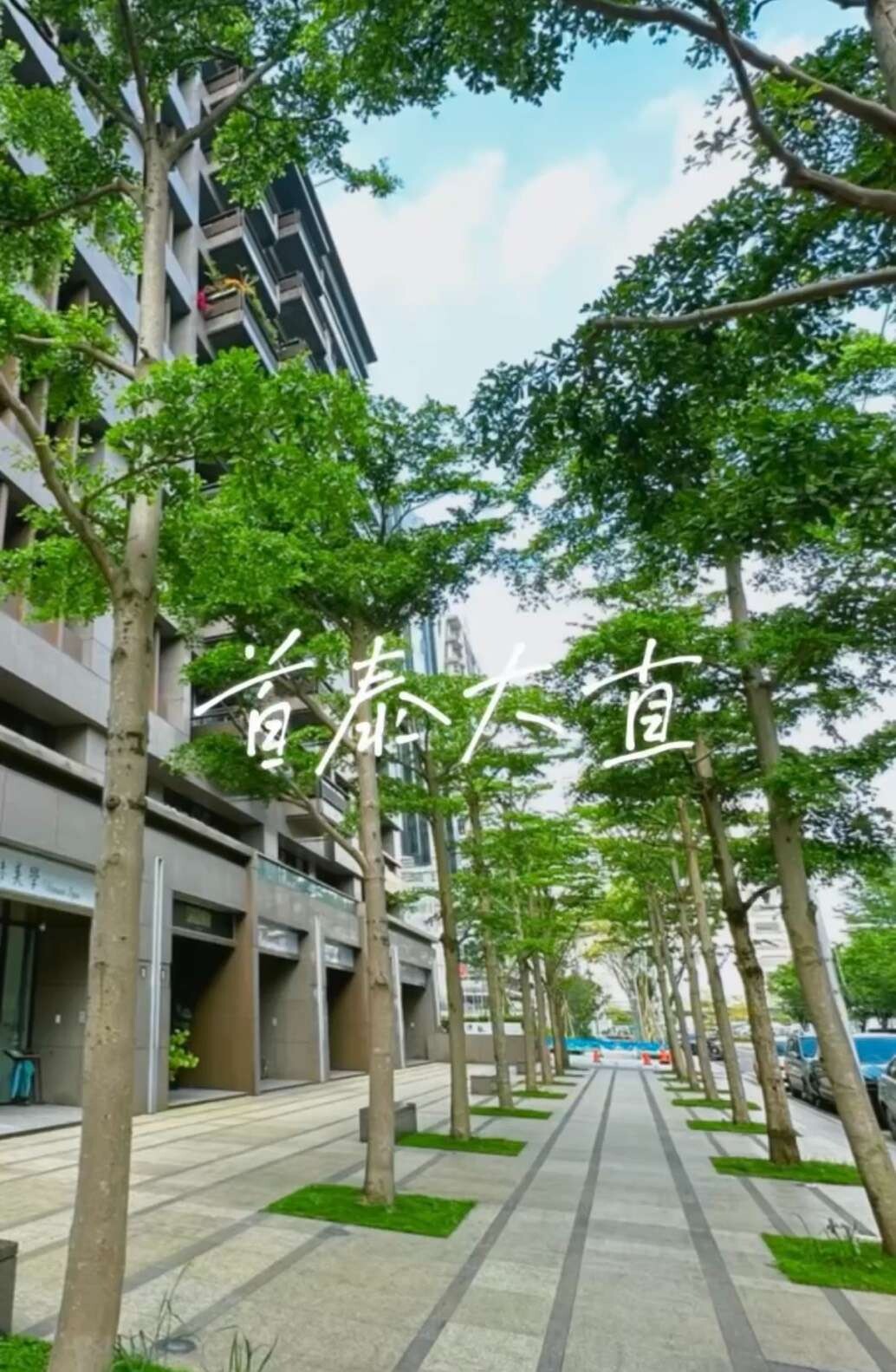封面圖