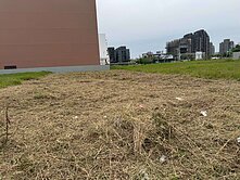 十四期指標建地｜面寬14米近洲際、漢神｜生活機能強