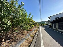 house cover
