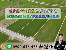 🍎專約🍎後壁省道旁方正2.5分漂亮農地