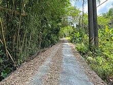 山林/超便宜/快樂度假休閒方正農地