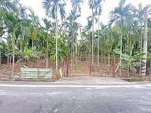 屏東竹田驛站美農地