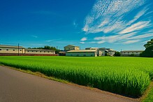 ◈◈◈ 彰化金豐旁都計農地 ◈◈◈