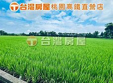 近桃園醫院、正路旁美農田💯