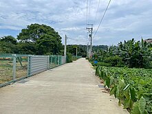 🏡【仲耕精選｜龍潭金龍路快樂小農地｜有水有電】