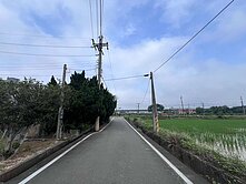楊梅楊富段豐正美農地