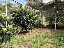 house cover