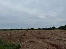  鹽水最便宜★可農保漂亮農地