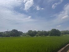 捷運綠線農地南庄段