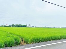 獨家專任🎉中興段雙面臨路哈密瓜產區優質良田地👍