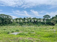 大內區4.4分有水有電低總價農地