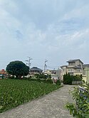 大甲美農地 