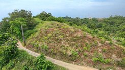 鳥松近仁美鳳梨山農地近觀音禪寺