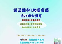 盧麗玲-陽明國中★近八米大面寬★無敵金店面