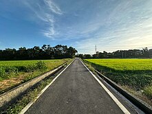 🍍新屋3面臨路農地/6米路/開心農場