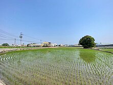 👍🏻擬定大里夏田產業園區之農地👍🏻