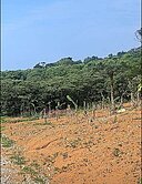 專約-三芝芝柏段低總價開心農場