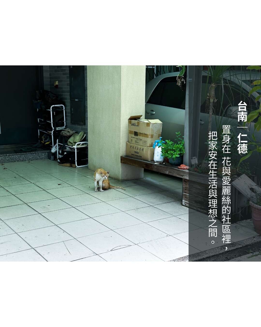 封面圖