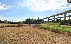 捷運綠線徵收田,節稅首選,投資自用佳