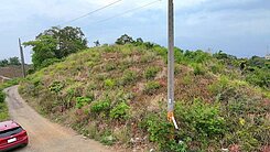 鳥松埔嶺鳳梨農地近觀音禪寺地勢稍高可遠眺市景
