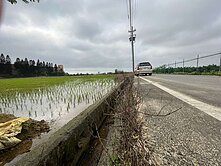 (專任)新豐市郊方正美田