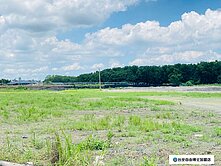 高樹南興山景農保農地