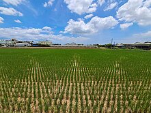 萬丹三角窗漂亮美農地