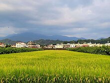 可作農保／山景觀漂亮小農地1